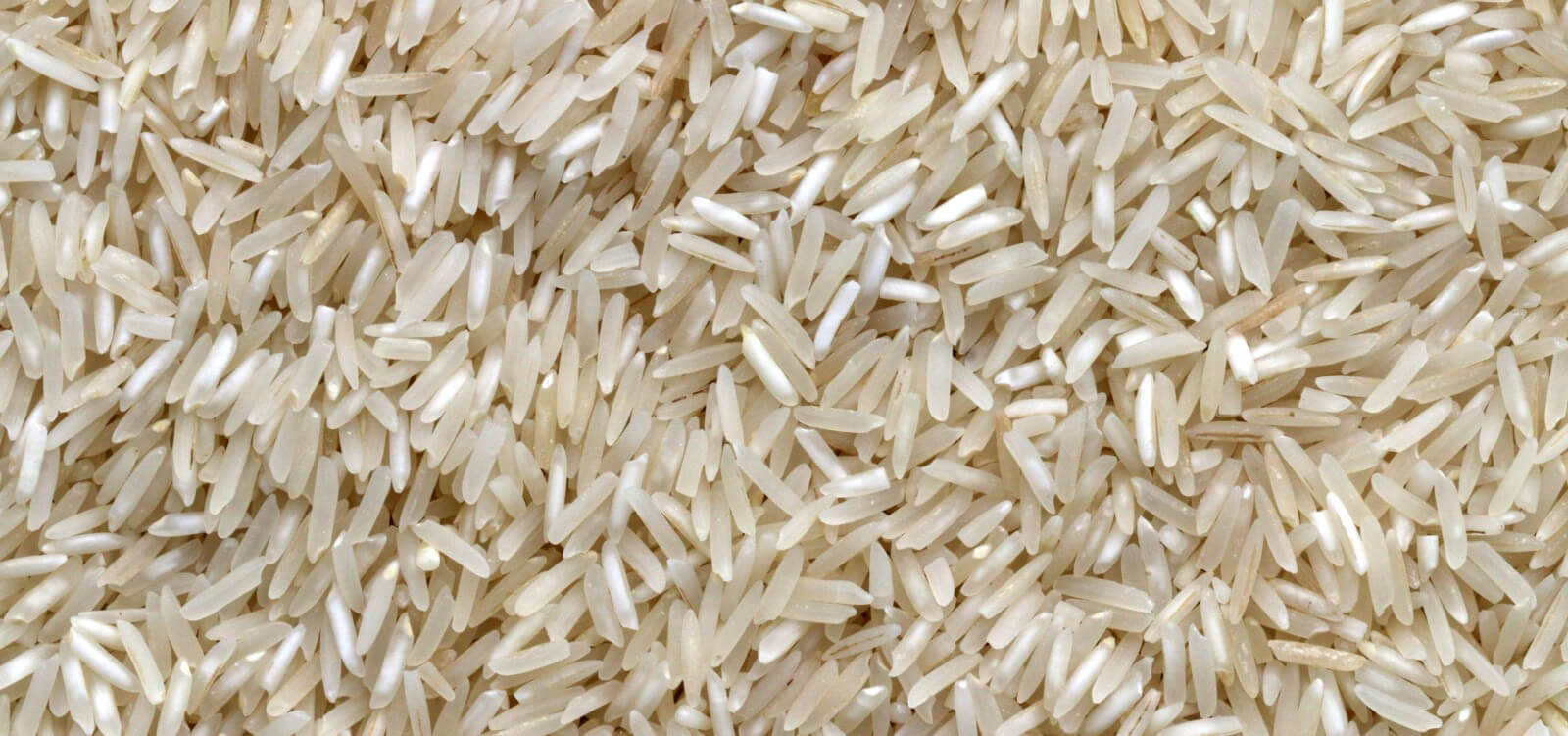 healthy-substitute-for-rice-what-can-you-use-instead-of-white-rice