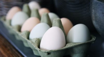 dozen eggs in a carton