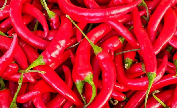 spicy chilies